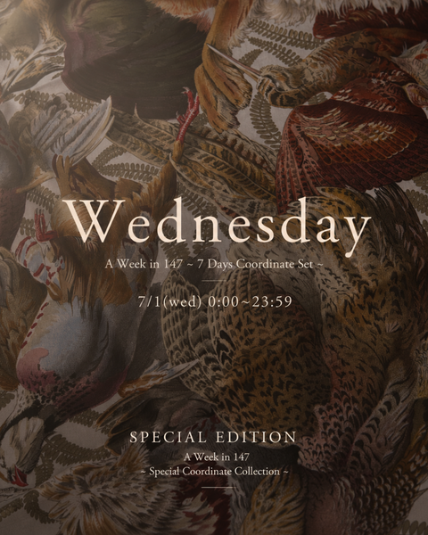 画像をギャラリービューアに読み込む, 《Wednesday》A Week in 147 〜 7 Days Coordinate Set 〜 (SPECIAL EDITION)
