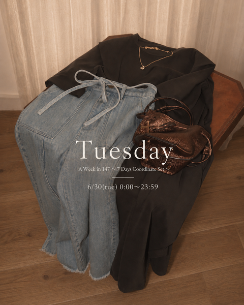 画像をギャラリービューアに読み込む, 《Tuesday》A Week in 147 〜 7 Days Coordinate Set 〜 (SPECIAL EDITION)