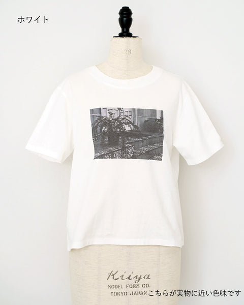 画像をギャラリービューアに読み込む, フォトプリントTシャツ【465】