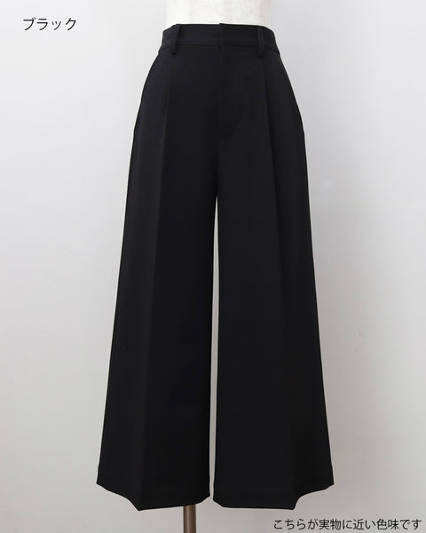 画像をギャラリービューアに読み込む, ツイルワイドパンツ【364】