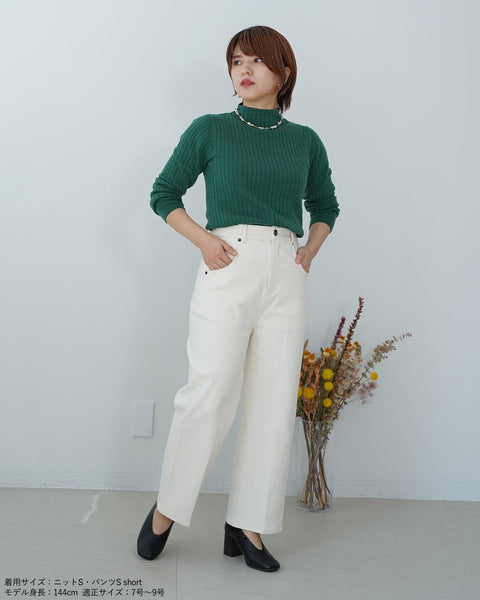 画像をギャラリービューアに読み込む, ワイドリブボトルネックニット【338】