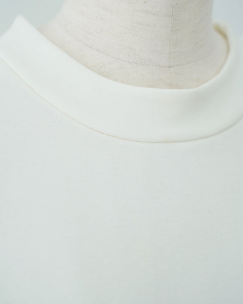 画像をギャラリービューアに読み込む, ポンチドルマンカットソー【455】