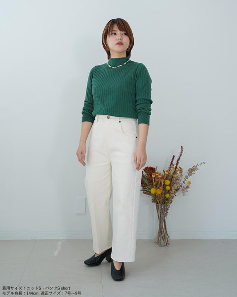 画像をギャラリービューアに読み込む, ワイドリブボトルネックニット【338】