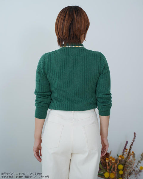 画像をギャラリービューアに読み込む, ワイドリブボトルネックニット【338】