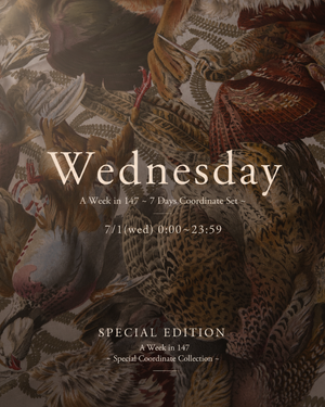 《Wednesday》A Week in 147 〜 7 Days Coordinate Set 〜 (SPECIAL EDITION)